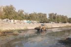 پاکسازی خور گور سوزان توسط خدمات شهری مناطق شهرداری بندرعباس