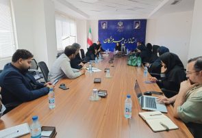مهار بحران پشه آئدس بدون نقش‌آفرینی تشکل‌های مردمی ممکن نیست