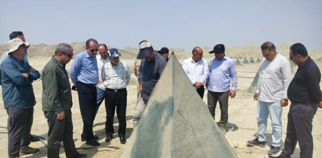 بازدید معاون وزیر جهاد کشاورزی و رئیس سازمان شیلات ایران از طرح احداث بزرگترین نخلستان مکانیزه مجول در شهرستان بشاگرد