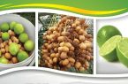 سومین جشنواره ملی لیمو و اولین جشنواره ملی خرما در رودان برگزار می‌شود