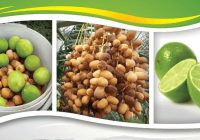 سومین جشنواره ملی لیمو و اولین جشنواره ملی خرما در رودان برگزار می‌شود