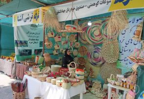 آغاز به کار جشنواره شکرگزاری انبه و یاسمین گل میناب با شعار توسعه صنایع تبدیلی و گردشگری