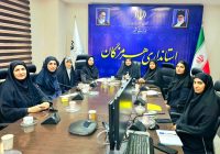 اجرای طرح جامع توسعه کسب‌وکار بانوان در استان هرمزگان آغاز شد