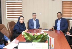 نشست هماهنگی افتتاحیه طرح توسعه شایستگی‌های حرفه‌ای کارکنان برق هرمزگان