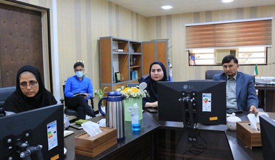 بررسی آخرین وضعیت بیماری تب دنگی ناشی از پشه آئدس و راهکارهای کنترل آن در استان هرمزگان