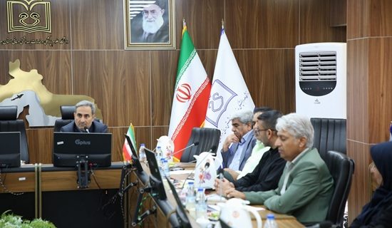 کارگروه استانی پیشگیری از قاچاق کالای سلامت‌محور و دخانی تشکیل شد