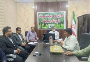 برگزاری کارگروه مدیریت پسماند در شهر ستان سیریک