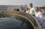 بازدید مدیرکل شیلات هرمزگان از مجتمع‌های پرورش میگوی تیاب شمالی و جنوبی