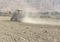 اراضی کشاورزی فین اولین منطقه شروع کاشت خوشه های طلایی در استان/کشت گندم در بخش فین شهرستان بندرعباس آغاز شد