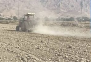 اراضی کشاورزی فین اولین منطقه شروع کاشت خوشه های طلایی در استان/کشت گندم در بخش فین شهرستان بندرعباس آغاز شد