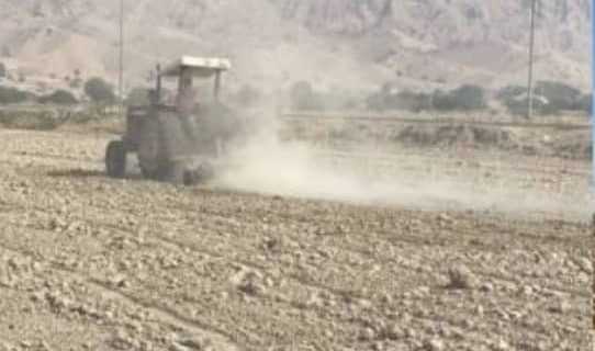 اراضی کشاورزی فین اولین منطقه شروع کاشت خوشه های طلایی در استان/کشت گندم در بخش فین شهرستان بندرعباس آغاز شد