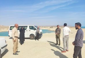 گام بلند معاونت آموزش استان برای ارتقای کیفیت مهارتآموزی؛ از هنرستانهای قشم تا کلاسهای شهاب