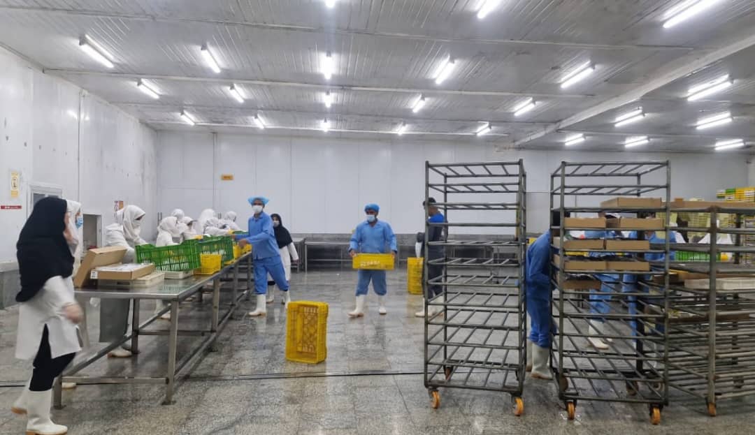 پویایی صنایع تبدیلی و غذایی بندرلنگه؛ از رشد تولید تا جهش صادرات دریایی