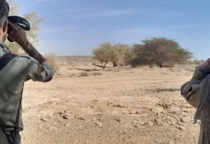 آغاز سرشماری پاییزه پستانداران «علفخواران وحشی» در استان هرمزگان