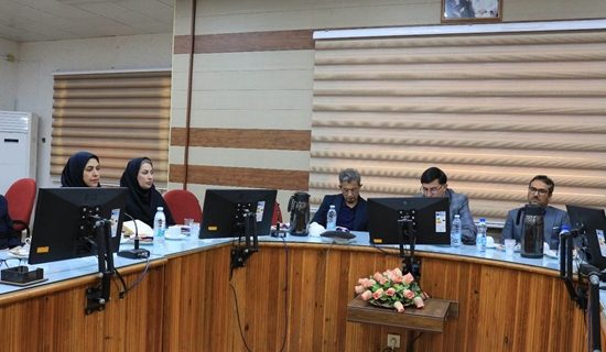 برگزاری سومین جلسه ستاد هماهنگی جوانی جمعیت دانشگاه علوم پزشکی هرمزگان با تأکید بر ارتقای مراقبت از مادران باردار و پیشگیری از مرگ مادران