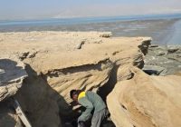 برگزاری همایش پاکسازی در سواحل همجوار تالاب بین المللی خورخوران برگزاری همایش پاکسازی در سواحل همجوار تالاب بین المللی خورخوران