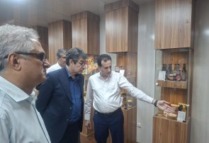 ارزیابی طرح‌های تولیدی و تأکید بر حمایت مالی از واحدهای صنعتی شهرک‌های شماره ۱ و ۲ بندرعباس