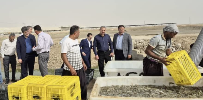 بازدید مدیر مالی صندوق توسعه ملی کشور از ظرفیتها و توانمندیهای شیلاتی هرمزگان بازدید مدیر مالی صندوق توسعه ملی کشور از ظرفیتها و توانمندیهای شیلاتی هرمزگان