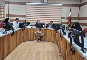 بررسی طرح‌های سلامت دهان و دندان در سفر مدیرکل دفتر سلامت دهان و دندان وزارت بهداشت به هرمزگان