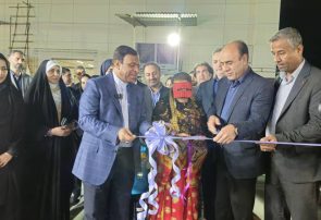 افتتاح هفتمین نمایشگاه سراسری صنایع دستی در بندرعباس