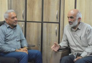 ارزیابی افزایش ظرفیتهای تامین و توزیع برق پایدار در جزیره فارور