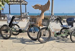 رونمایی از اقدامات ویژه شهرداری بندرلنگه در هفته گرامیداشت افراد دارای معلولیت