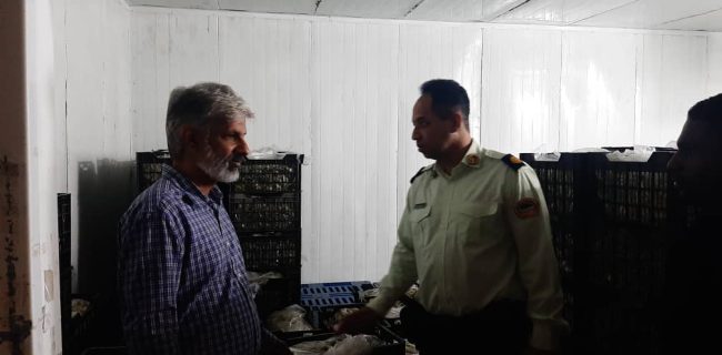 کشف بیش از ۴ تن موز قاچاق در یک سردخانه غیرمجاز بندرعباس کشف بیش از ۴ تن موز قاچاق در یک سردخانه غیرمجاز بندرعباس