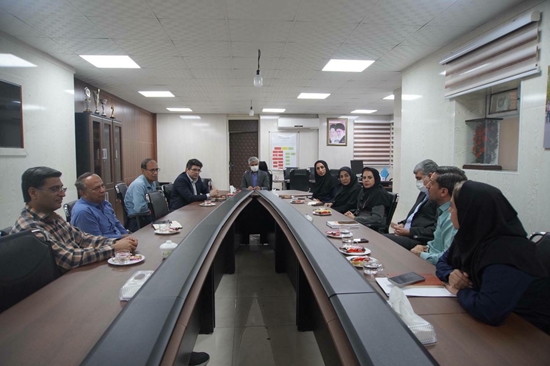 نشست هم اندیشی بررسی چالش های فرآیند ارجاع، درمان و پیگیری بیماران مبتلا به تب دنگی و آنفلوآنزا