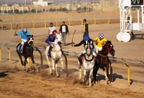 کسب دو مقام قهرمانی و یک نائب قهرمانی در هفته نهم کورس پاییزه یزد