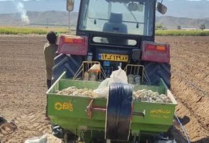 آغاز کشت سیبزمینی در اراضی شهرستان حاجیآباد