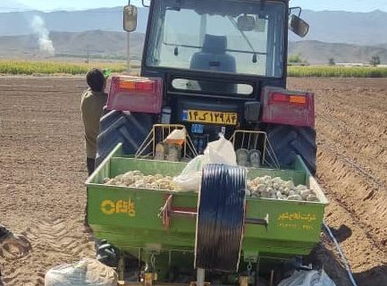 آغاز کشت سیب‌زمینی در اراضی شهرستان حاجی‌آباد