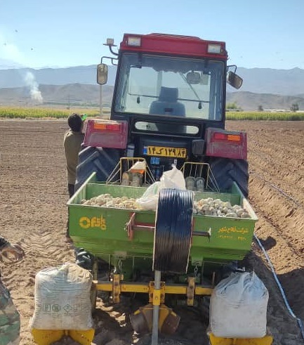 آغاز کشت سیبزمینی در اراضی شهرستان حاجیآباد آغاز کشت سیبزمینی در اراضی شهرستان حاجیآباد