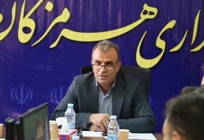 سالم‌سازی کامل شبکه توزیع آرد در هرمزگان دنبال می‌شود