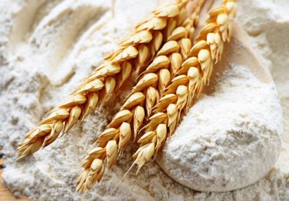 ثبت جشنواره گندم و نان در فهرست رویدادهای گردشگری / گامی برای حرفه‌ای‌سازی و توسعه مقصدهای گردشگری