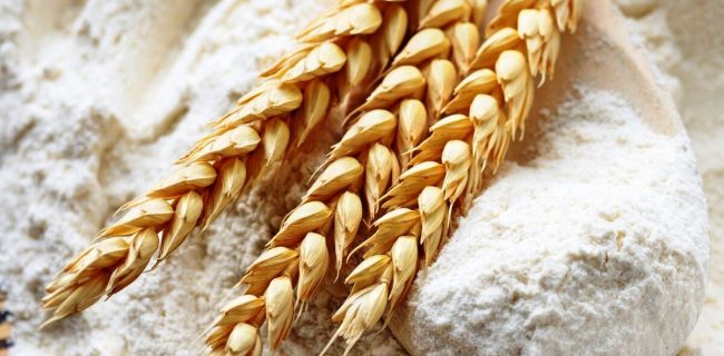 ثبت جشنواره گندم و نان در فهرست رویدادهای گردشگری / گامی برای حرفه‌ای‌سازی و توسعه مقصدهای گردشگری