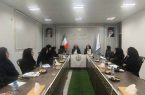 سومین نشست تخصصی مسئولین ورزش بانوان شهرستانهای هرمزگان برگزارشد