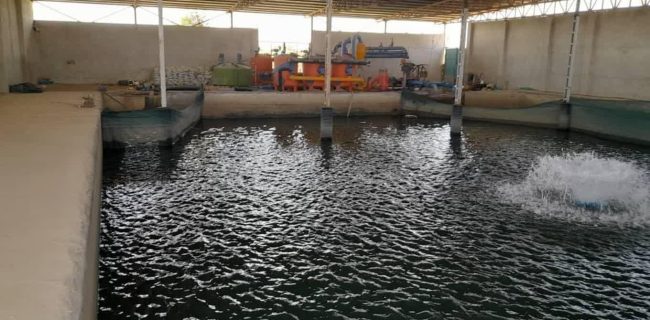 اجرای موفق بیش از ۸۰ درصد تعهدات تغییر کاربری مجاز در حاجی‌آباد