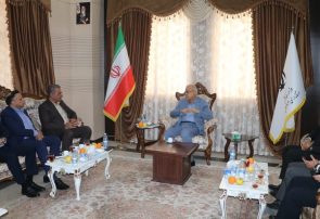 اقتصاد تعاونی بستر مطمئنی برای هدایت آورده‌های خرد مردمی است