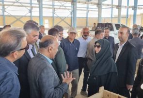 دولت از مدل مالی تصفیه خانه بندرعباس، برای رفع معضل فاضلاب شهرهای ساحلی هرمزگان حمایت کند