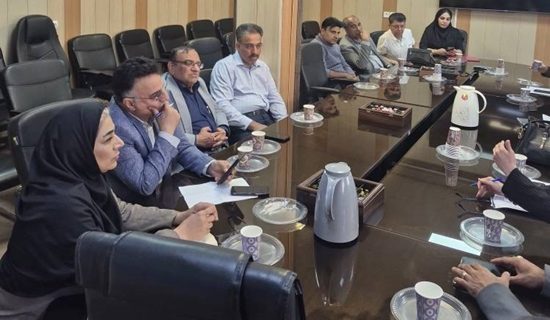 تقویت همکاری بیمارستان‌های خصوصی و بیمه‌ها برای بهبود خدمات درمانی