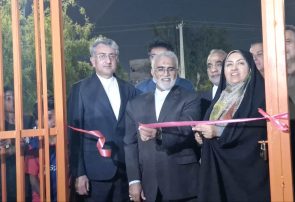 شهردار بندرعباس: توسعه زمین‌های چمن مصنوعی در محلات با جدیت دنبال می‌شود+فیلم