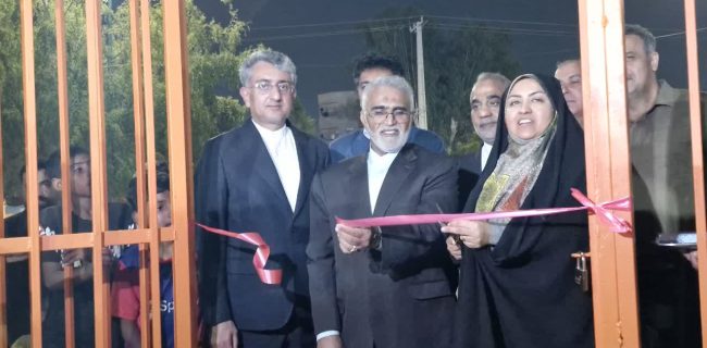 شهردار بندرعباس: توسعه زمین‌های چمن مصنوعی در محلات با جدیت دنبال می‌شود+فیلم