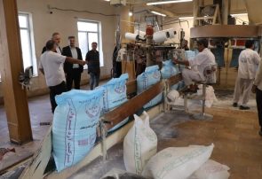  فعالیت ۲۵۳ واحد صنایع تکمیلی کشاورزی در هرمزگان با ظرفیت جذب بیش از ۲ میلیون و ۳۰۰ هزار تُن ماده خام